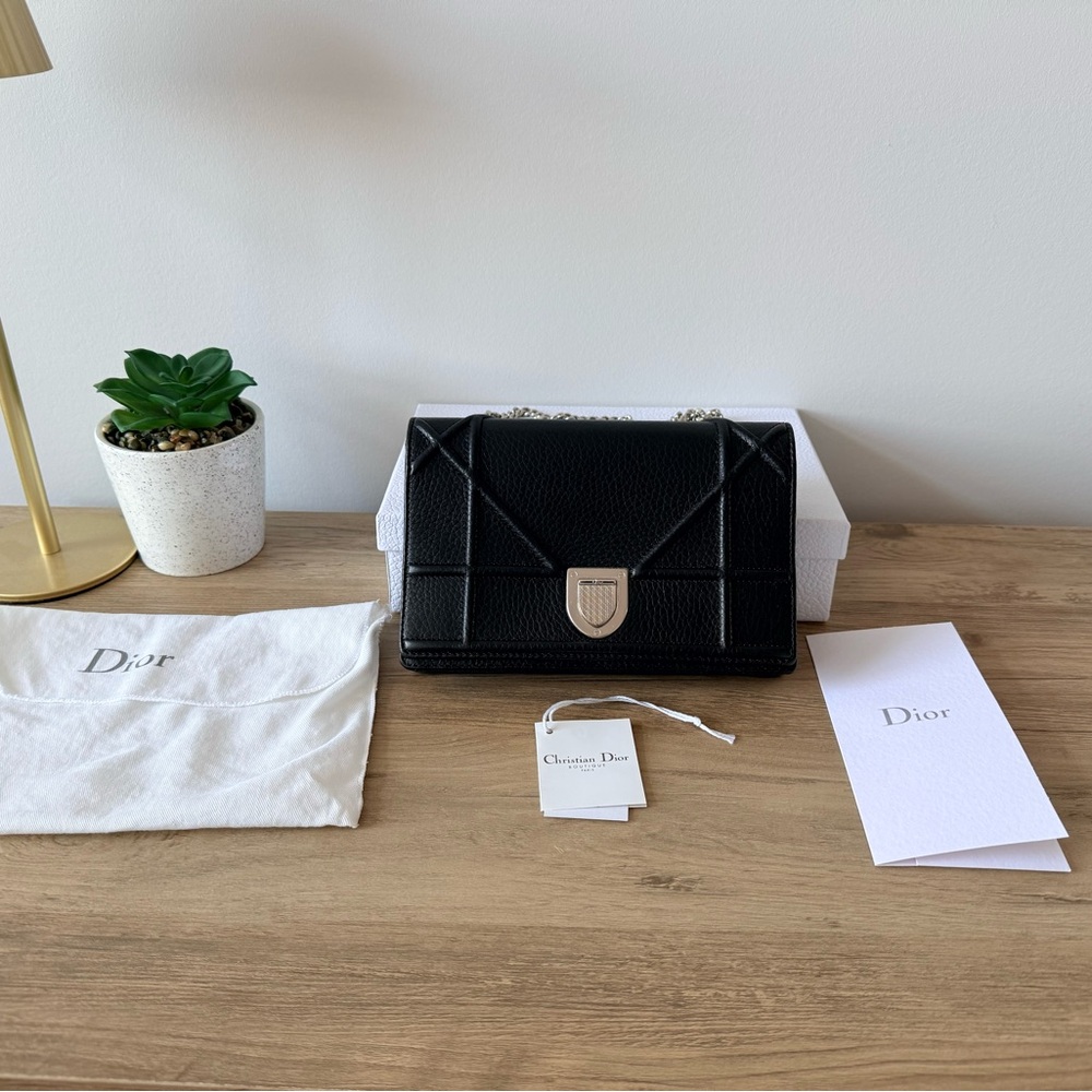 Christian Dior Diora Chain Pouch Calfskin - Picture 2 of 10
